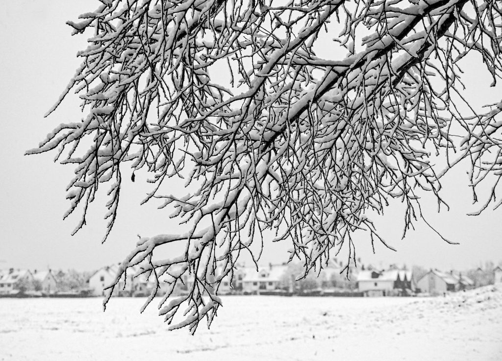 Der erste Schnee