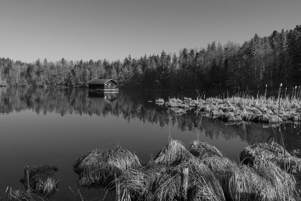 Hackensee