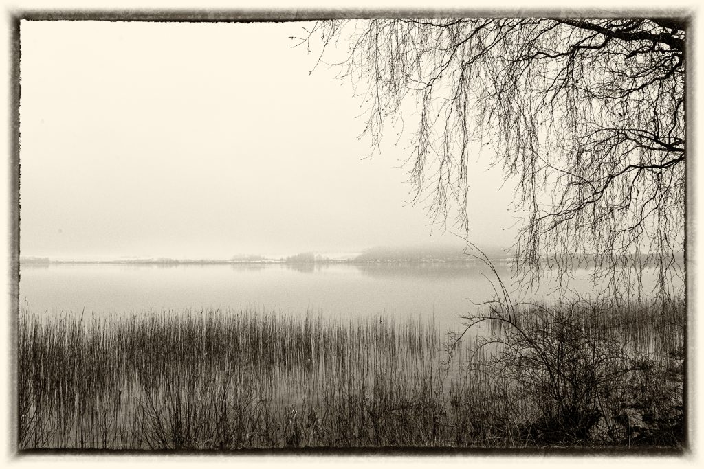 Wallersee bei Nebel