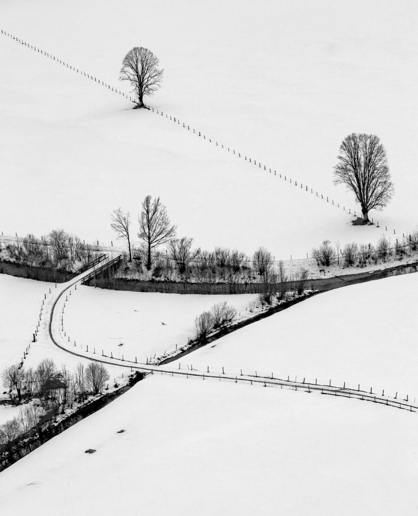 Schneelandschaft