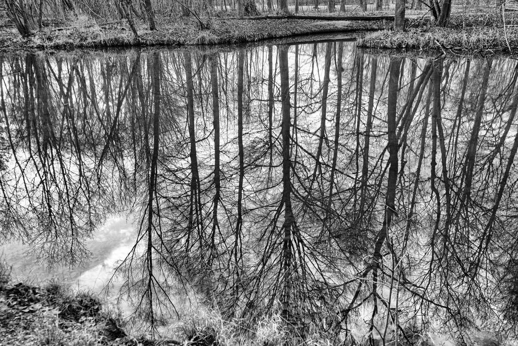 Spiegelung