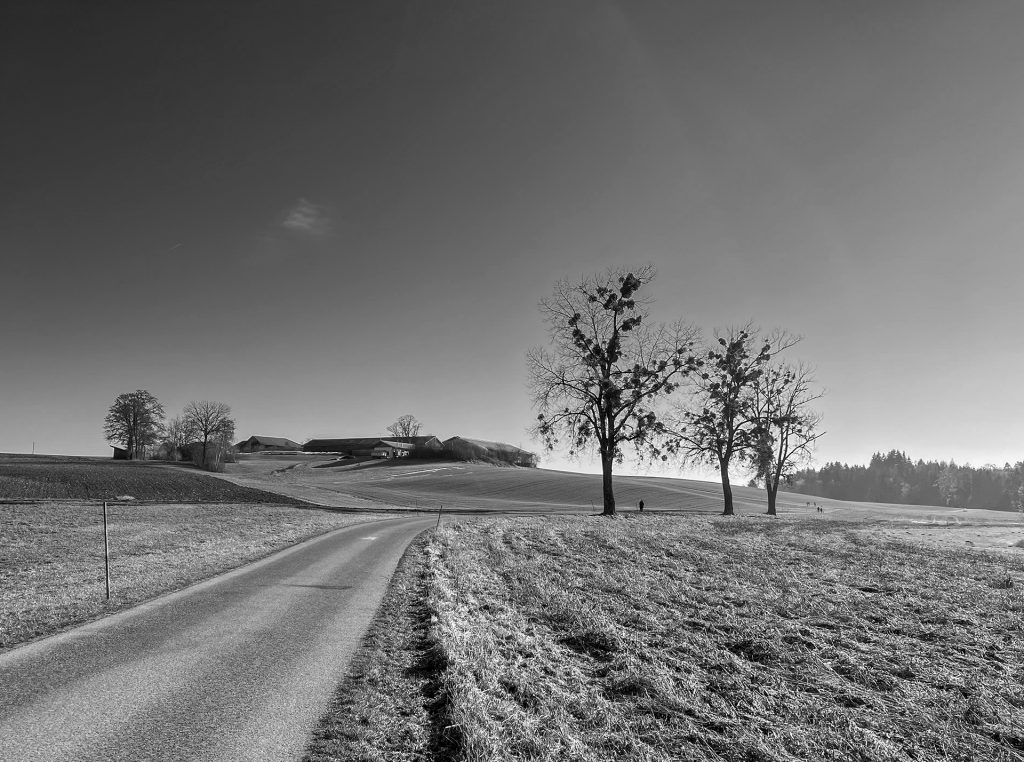 Steinsee-Runde
