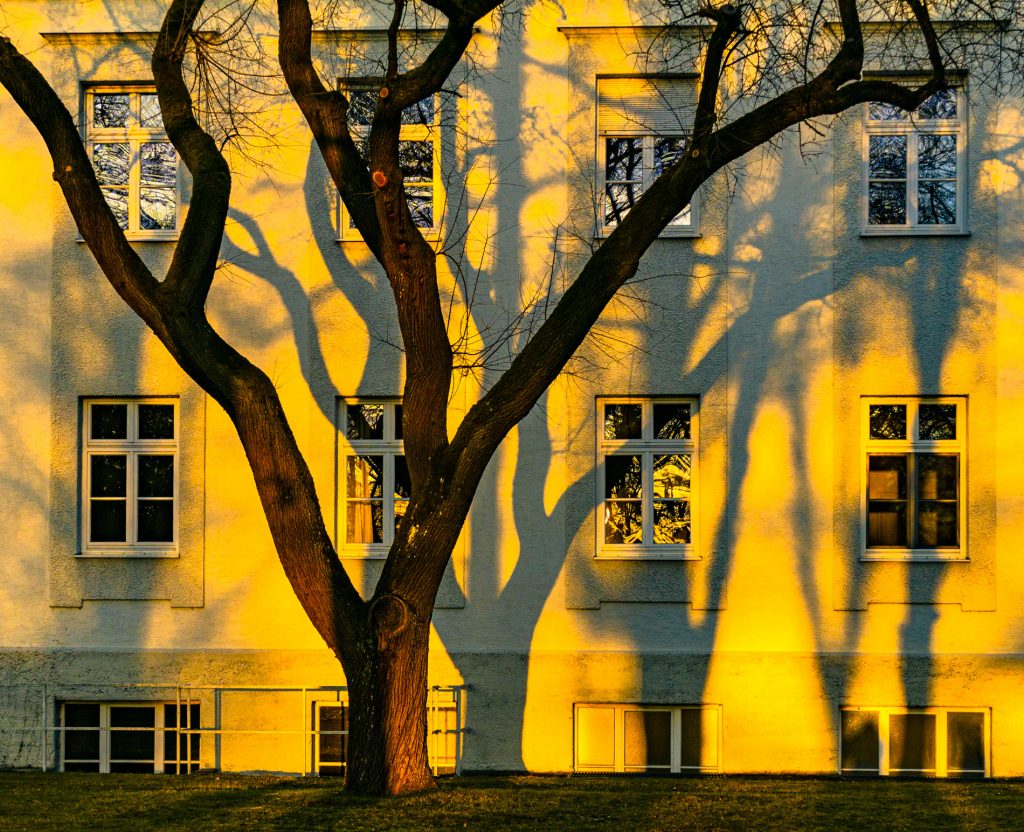 Abendsonne