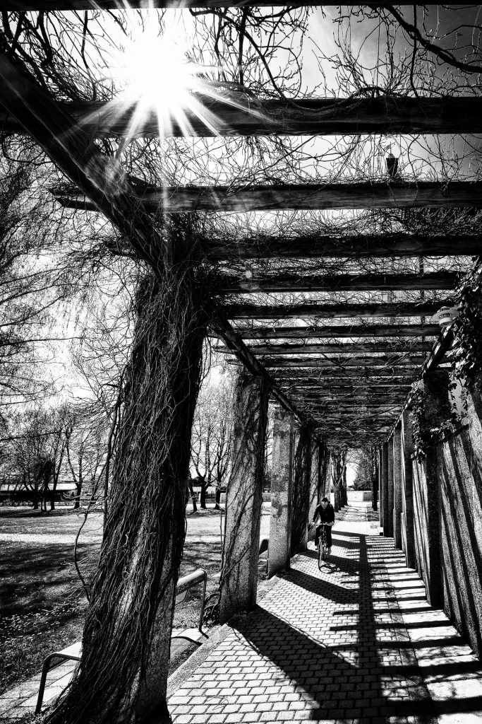 Pergola