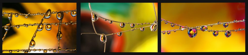 Perlenketten mit Wassertropfen