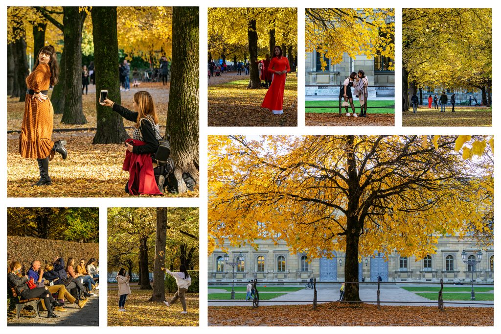 goldener Oktober im Hofgarten