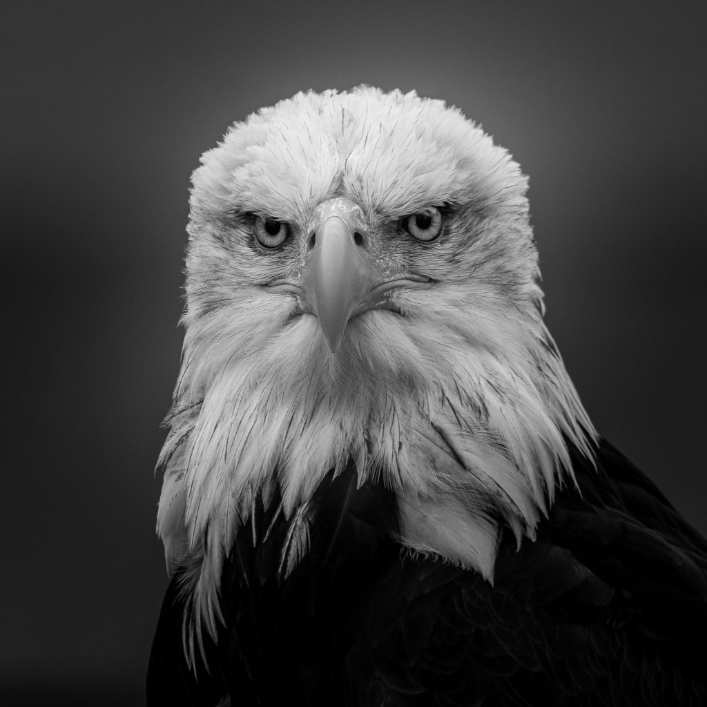böser Blick