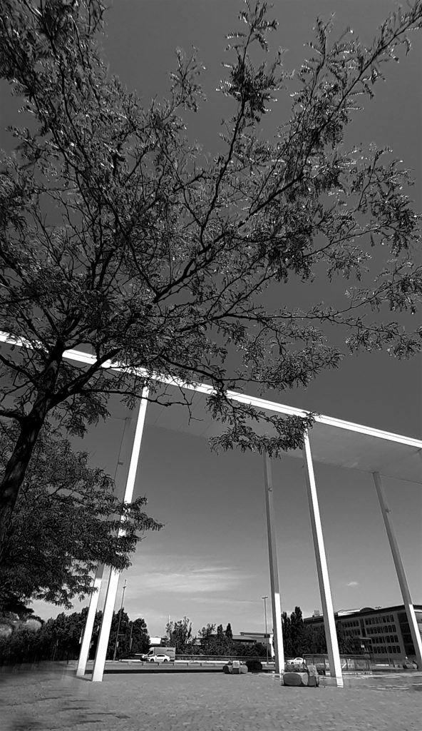 hoch hinaus