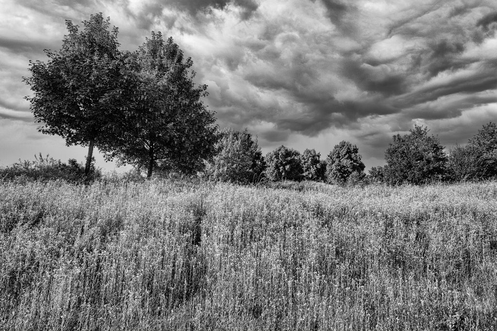 Poinger Park
