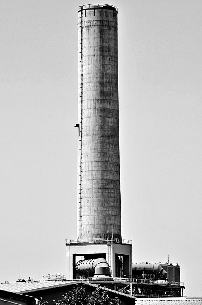 Form follows function