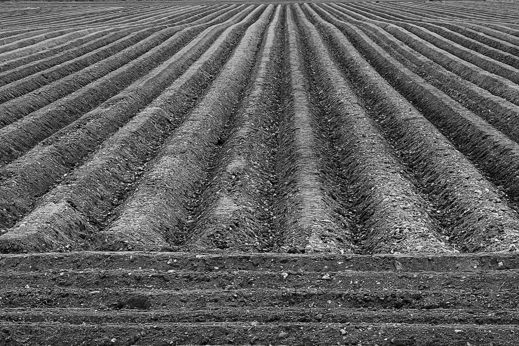 Landwirtschaft mit Präzision