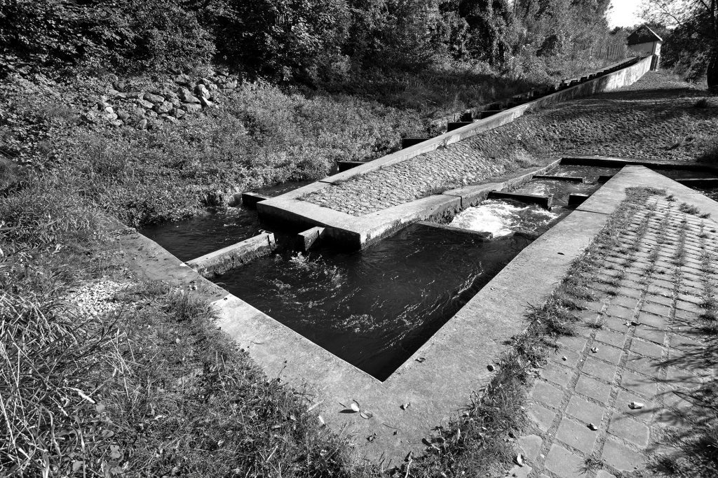 Fischtreppe