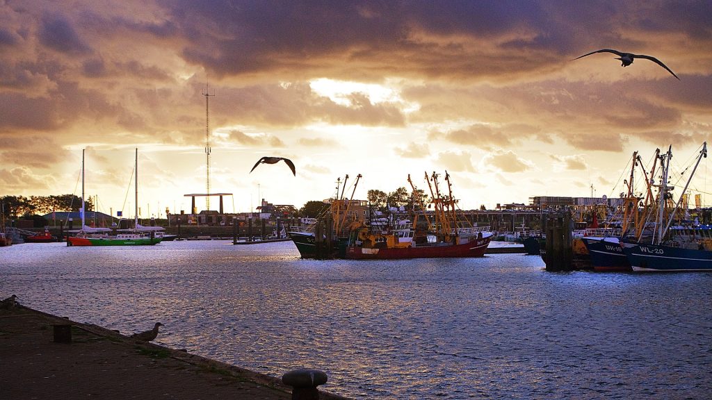 Fischfangflotte