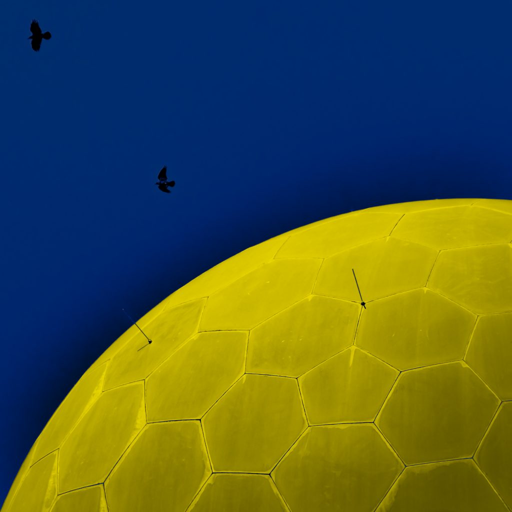 Weltraumvögel