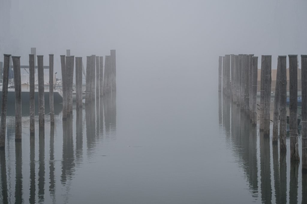 im Nebel