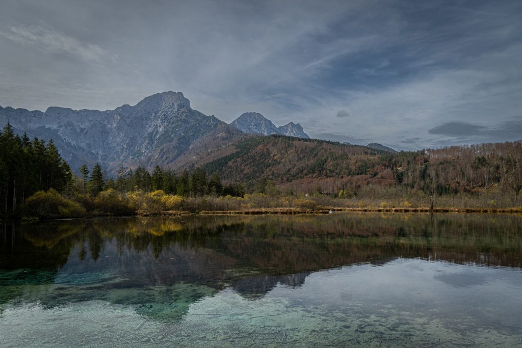 Almsee14