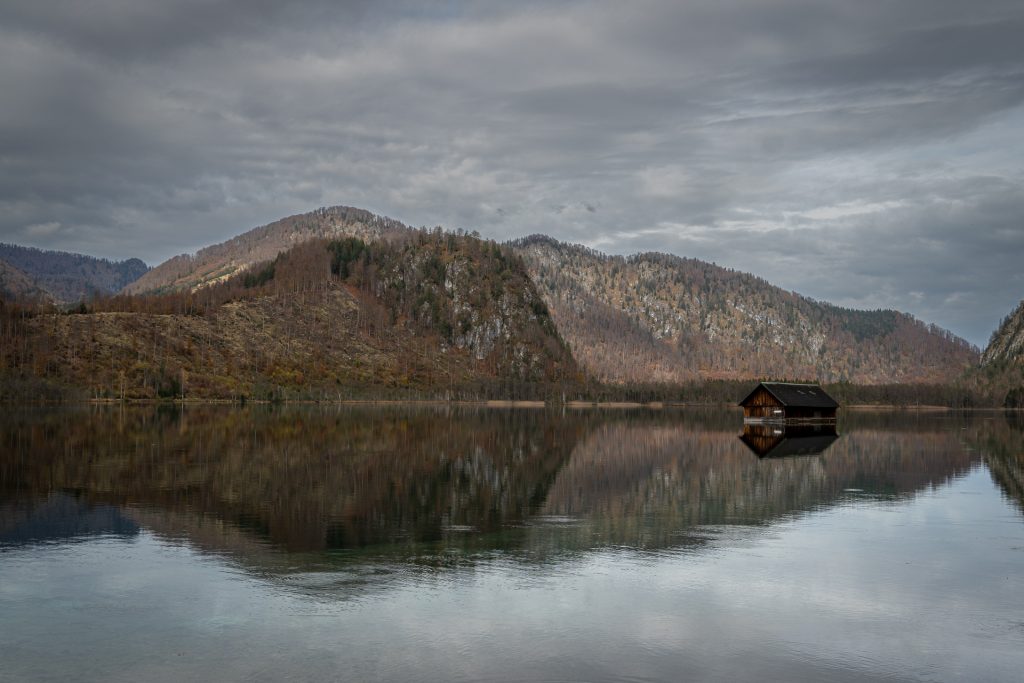 Almsee18