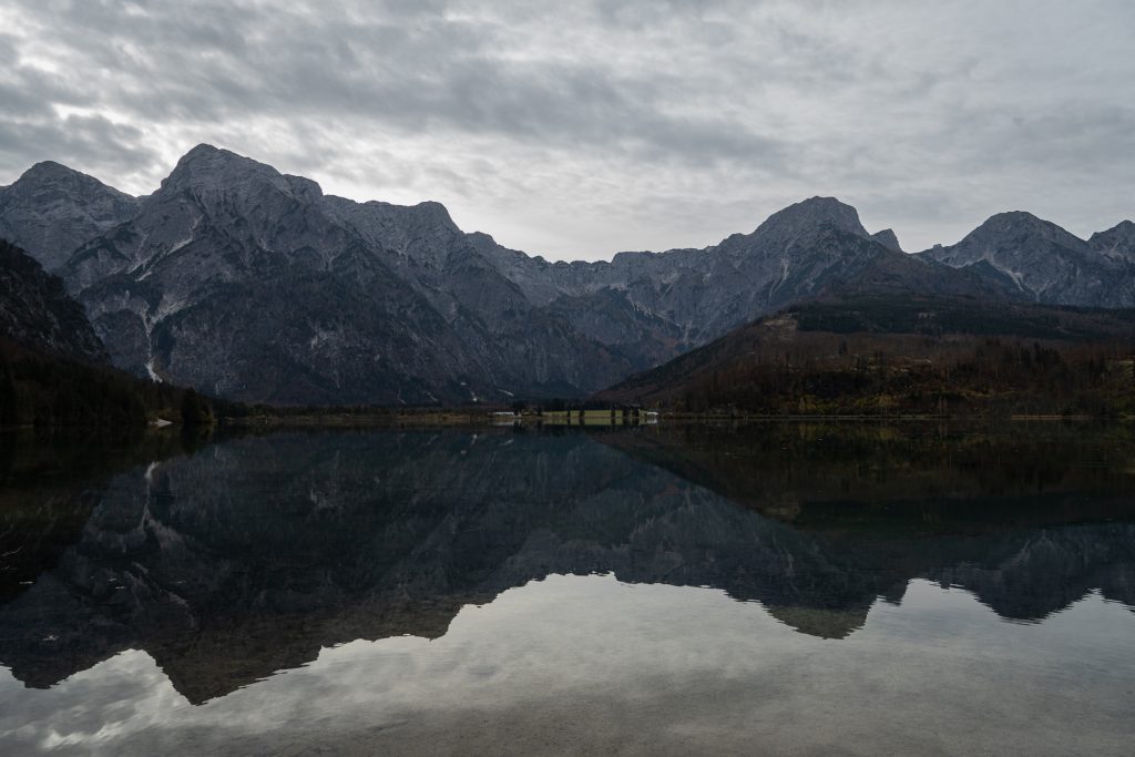 Almsee24