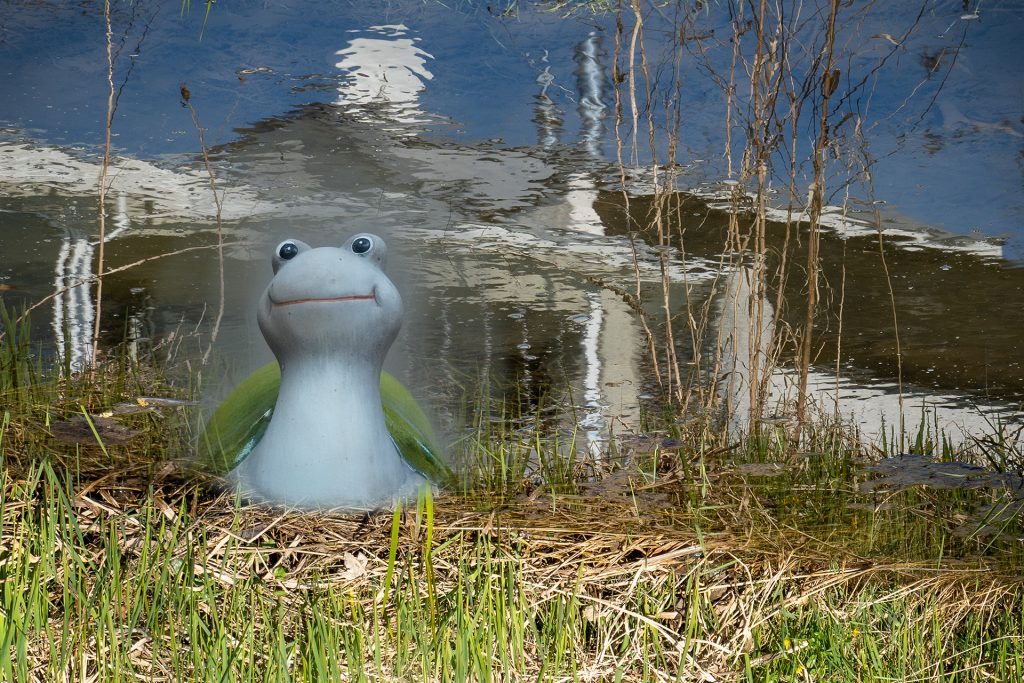 Hallo
