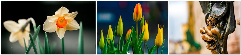 Bokeh - Weicher Hintergrund lässt Hauptmotiv wirken