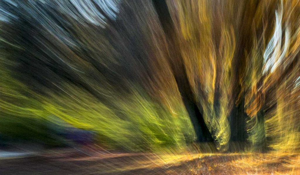 Herbststimmung