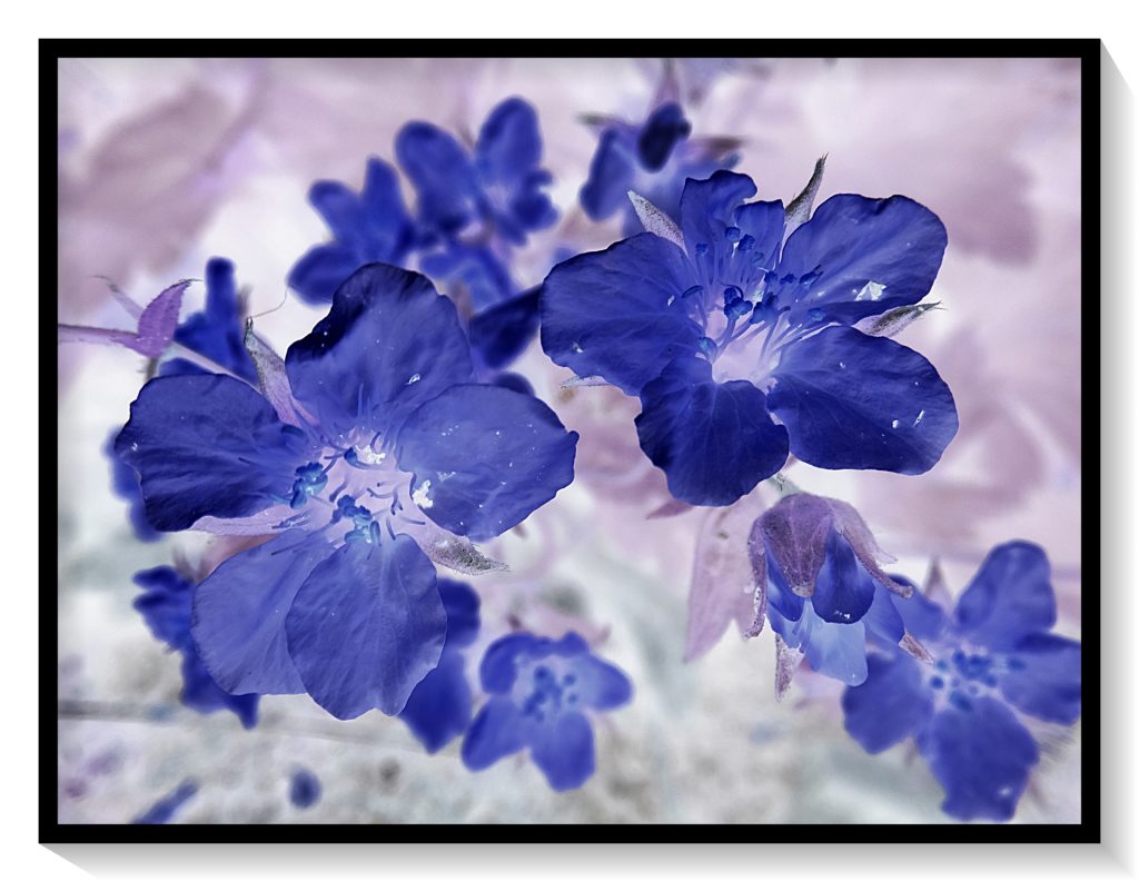 Gelb zu blau