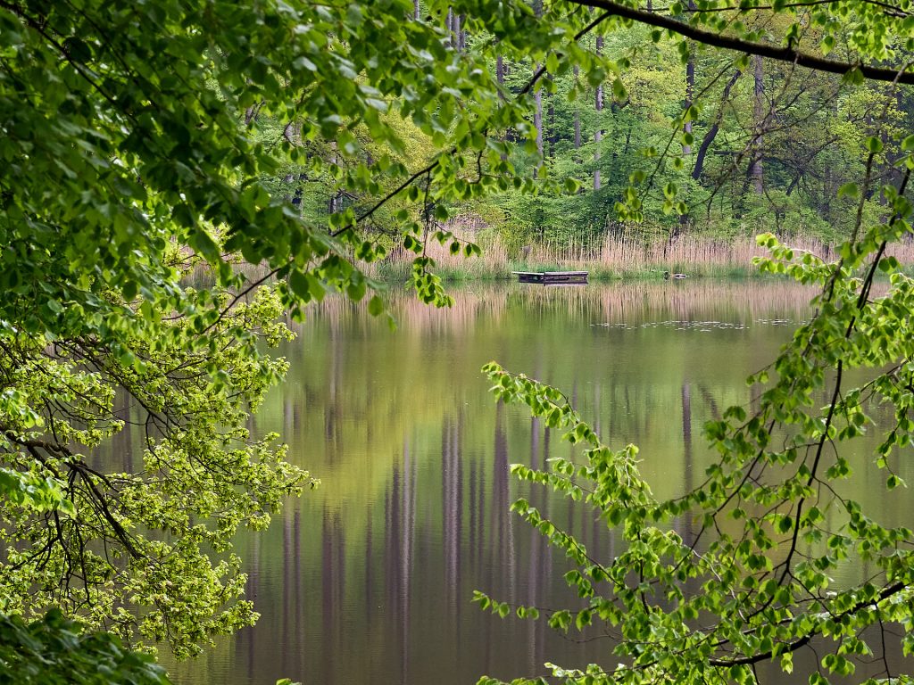 Durchblick zum Steg