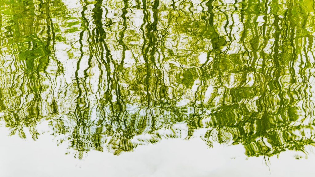 Spiegelung