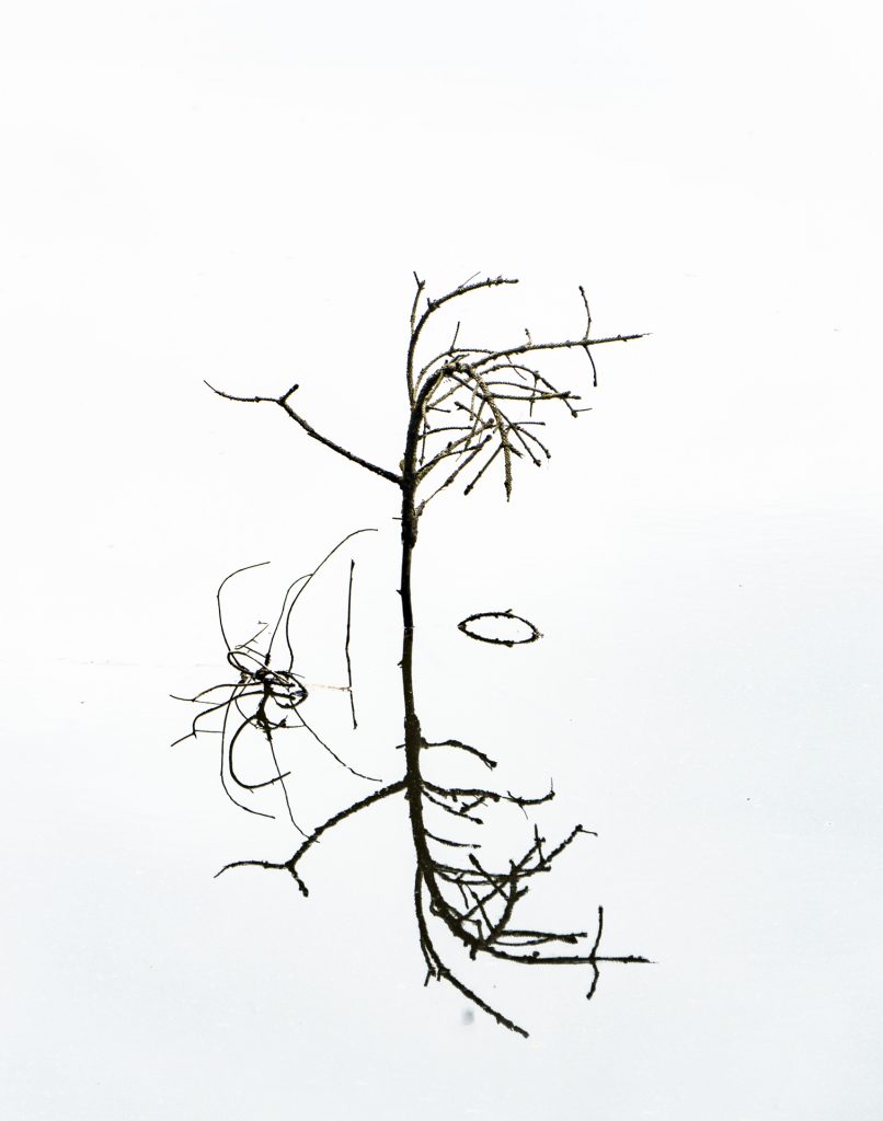 grafisch