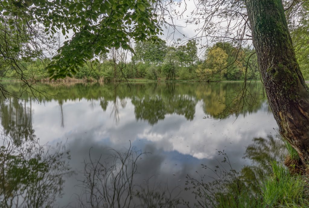 Thanninger Weiher 2