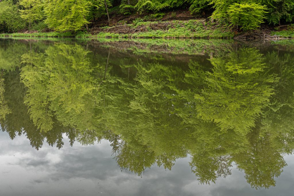 Thanninger Weiher 3