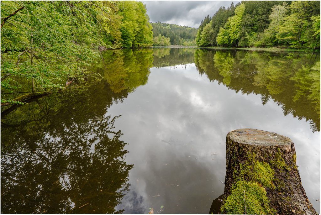 Thanninger Weiher 5