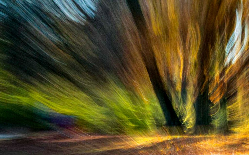 Herbststimmung-02
