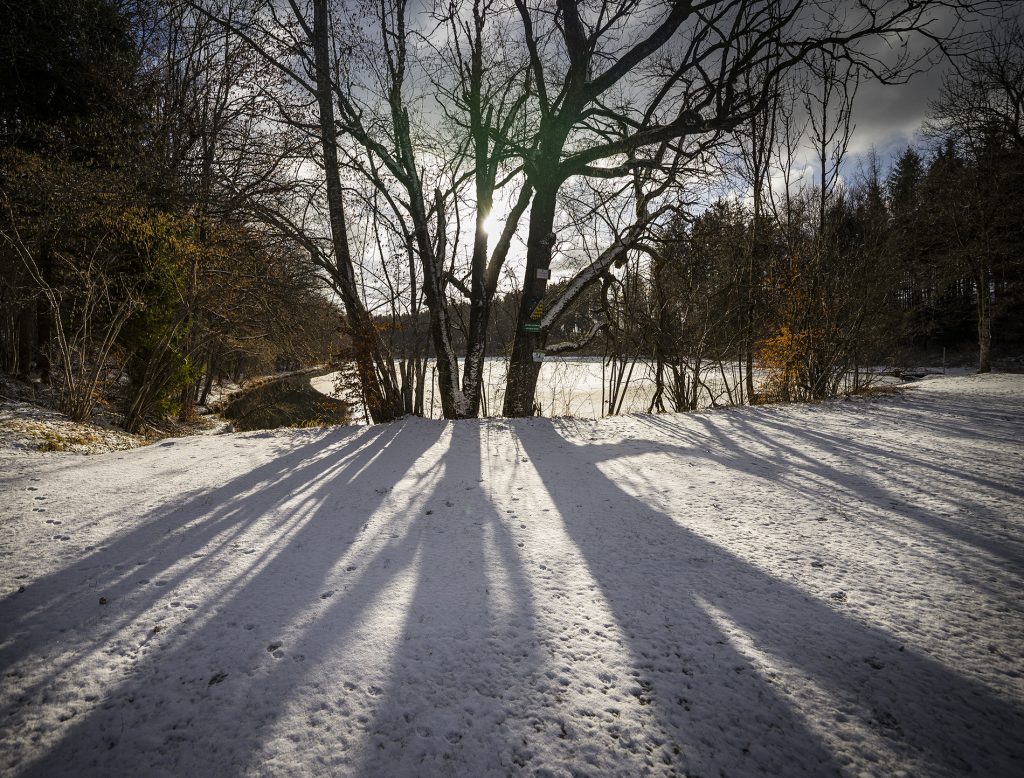Winter Thanninger Weiher