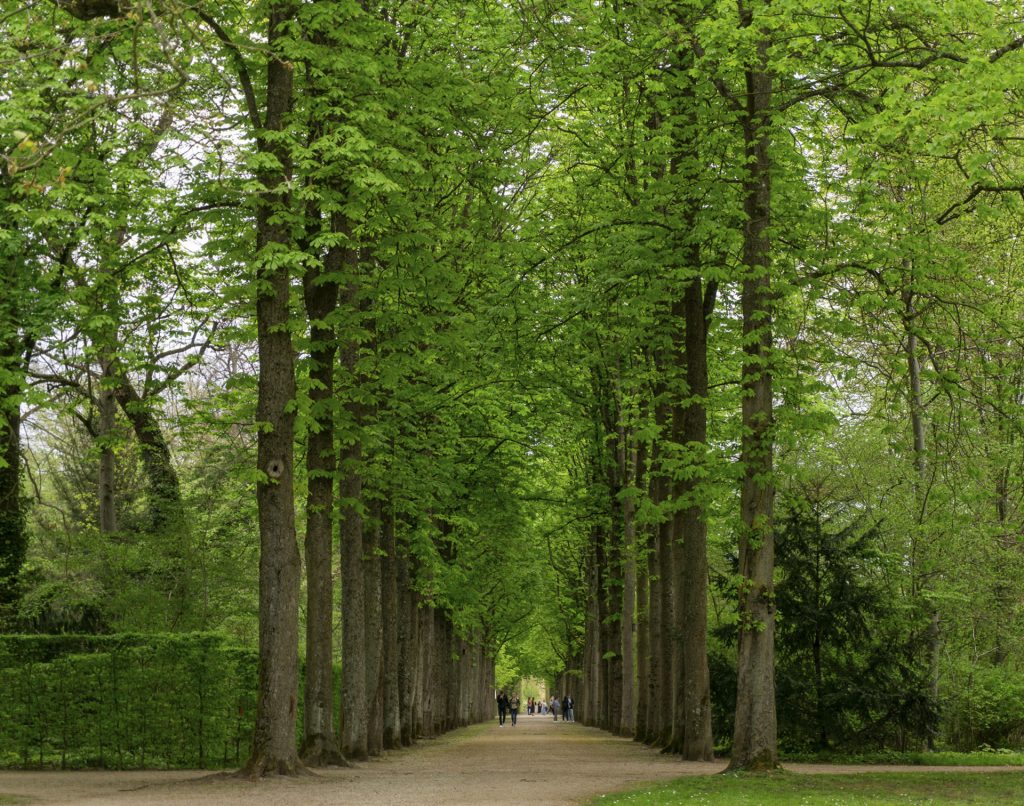 Kastanienallee