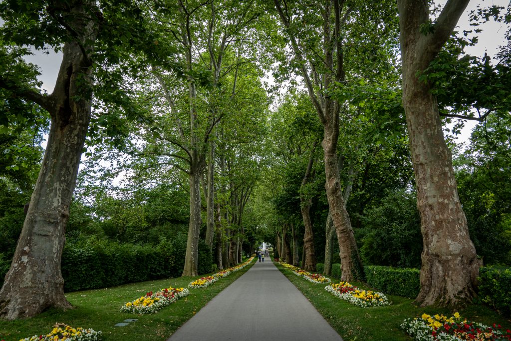 Allee