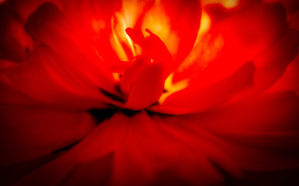Feuer