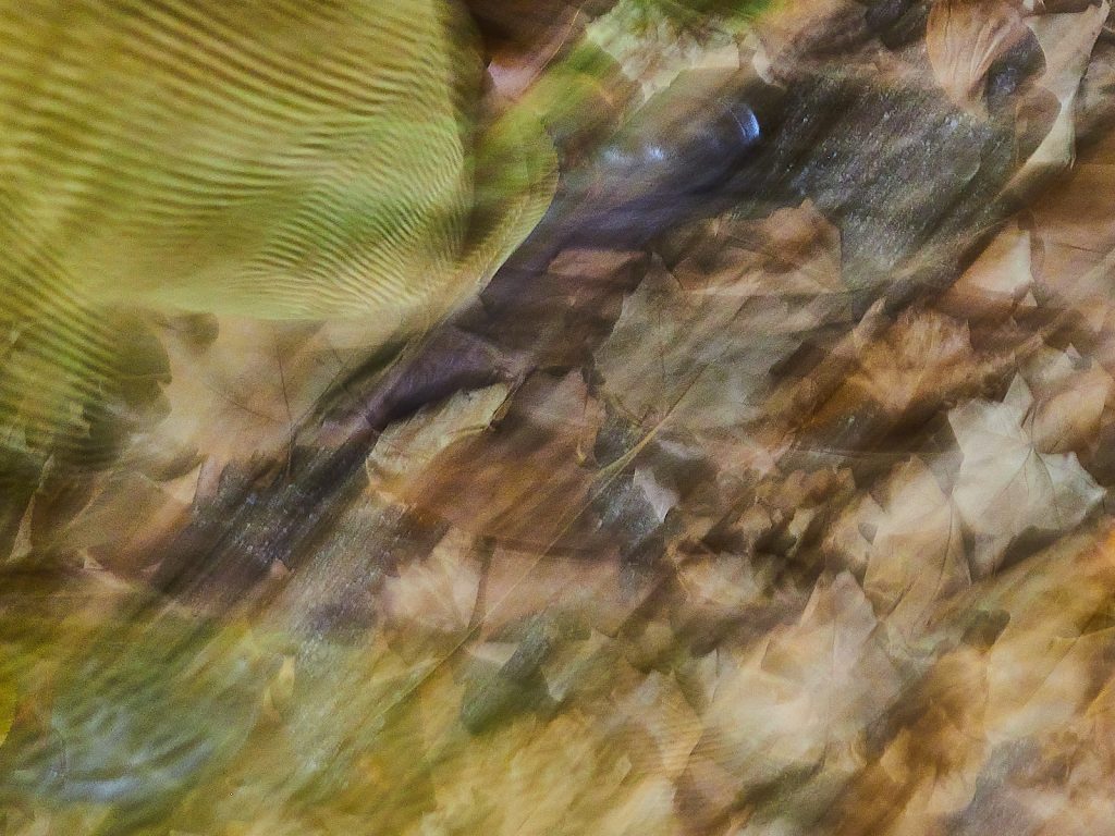 Laubdurchgang