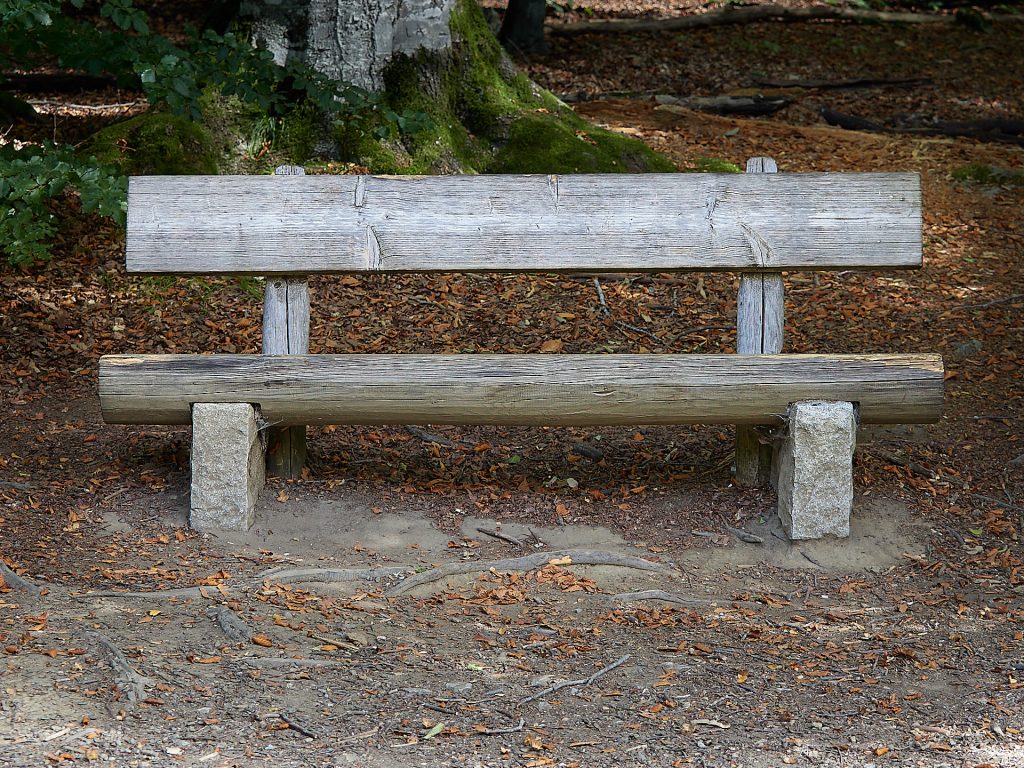 Bank - Neue Sachlichkeit