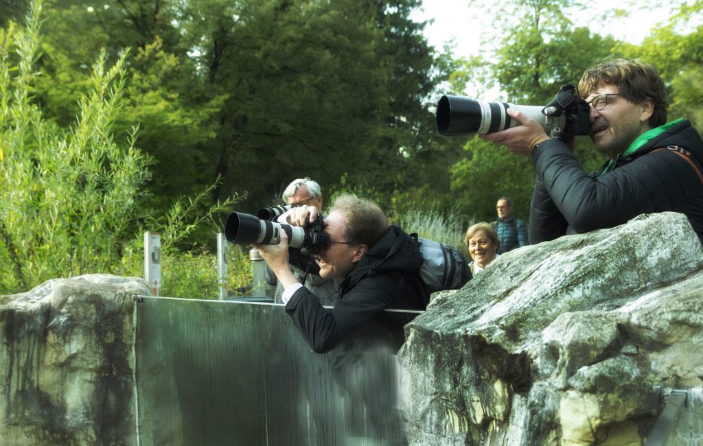 jetzt könnts klappen