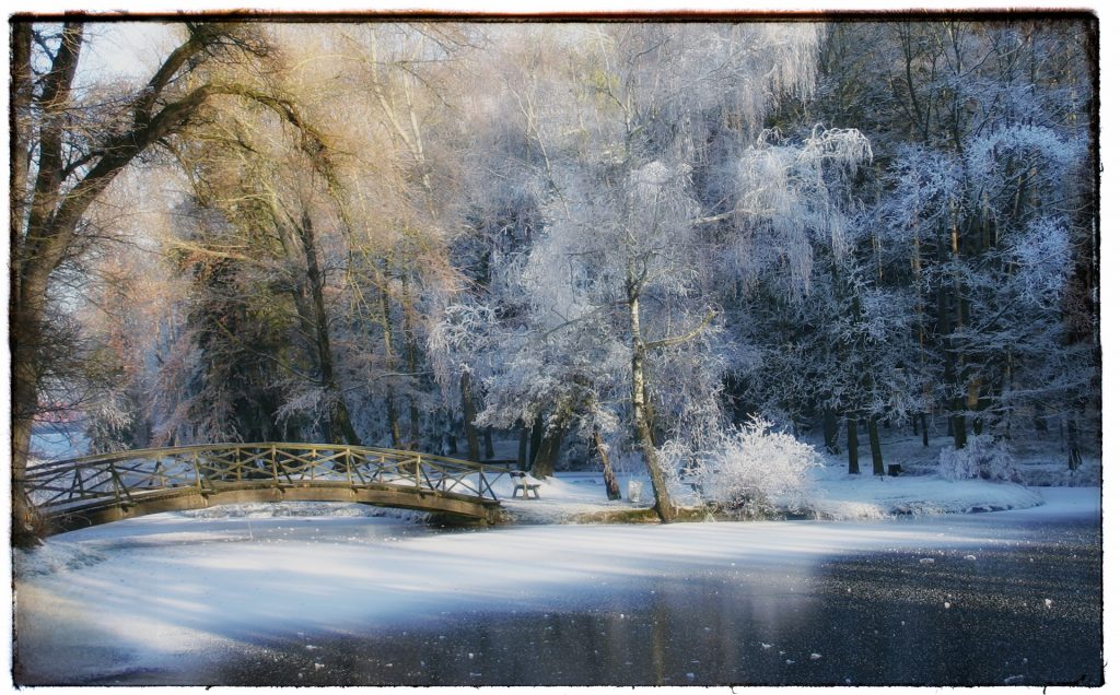 Weiher in Zinneberg