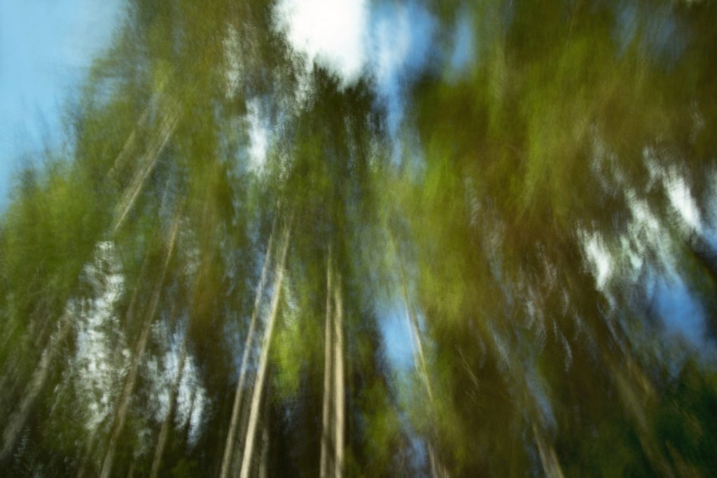 Kat.6:Farbe