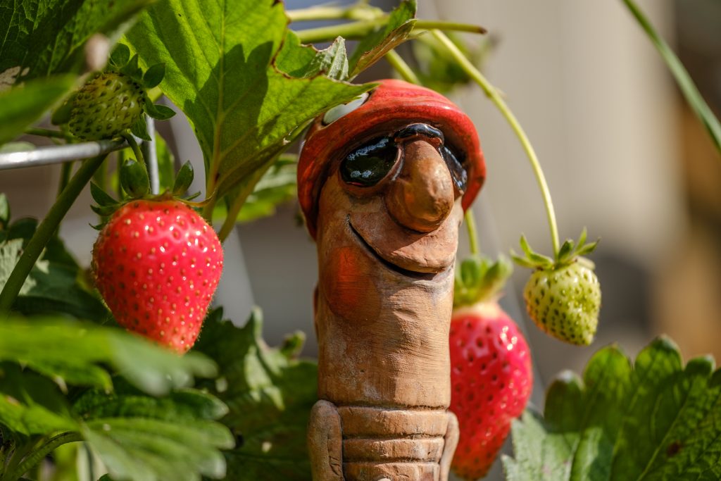 Mafiosi in den Erdbeeren