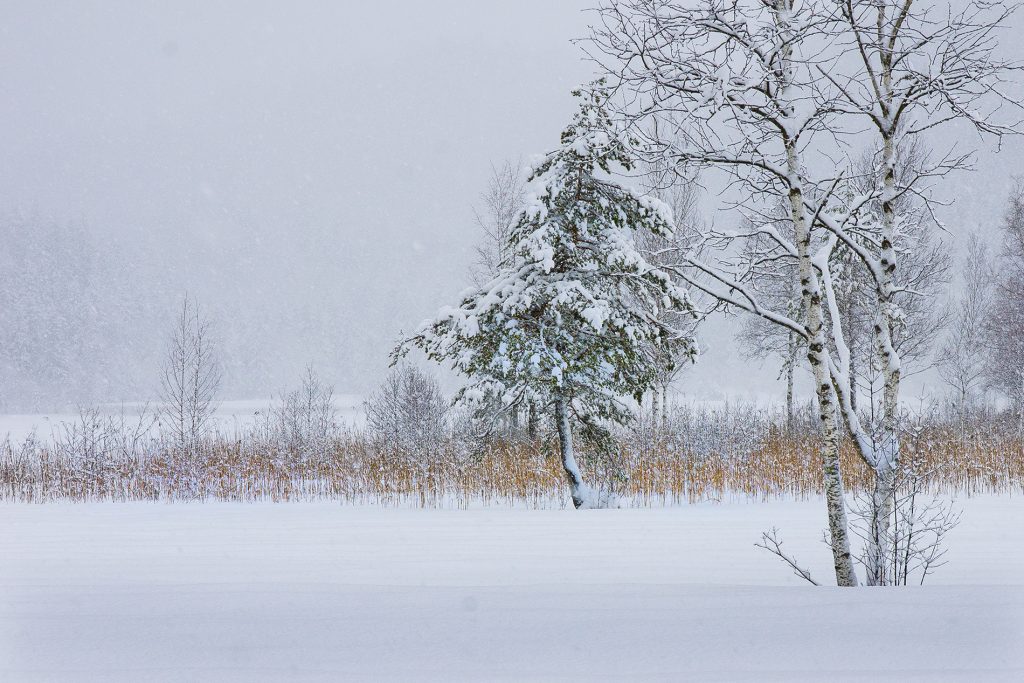 Schneelandschaft im Allgäu