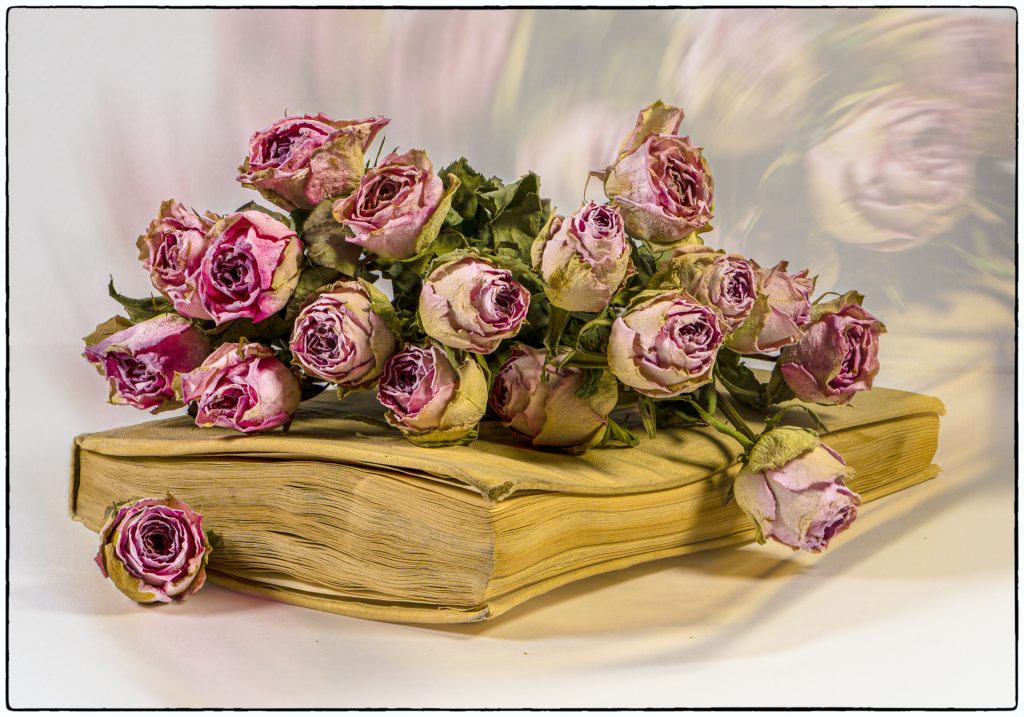 Rosen auf Buch
