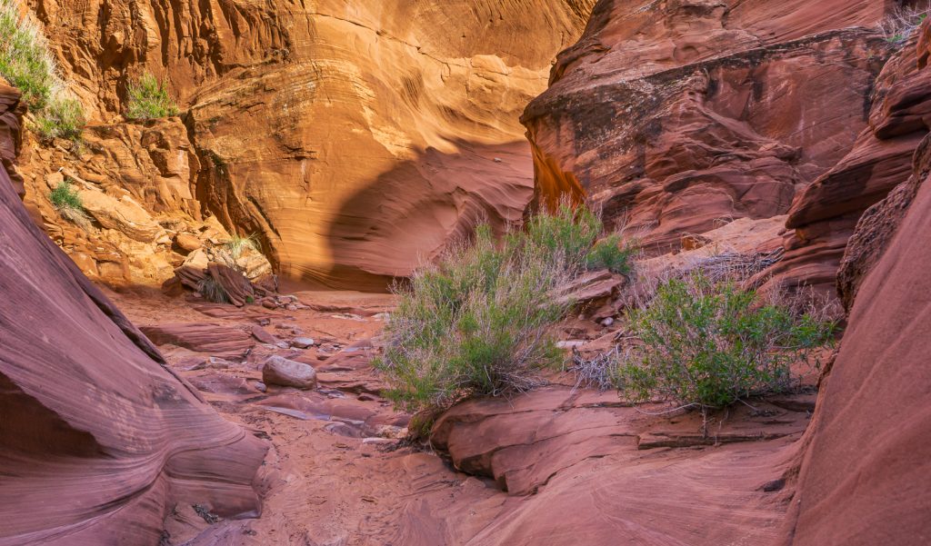 Canyon im Abendlicht