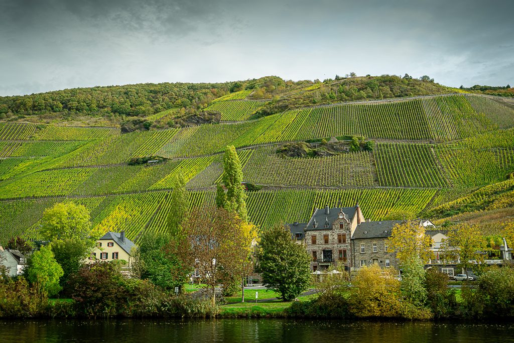 Obere Mosel