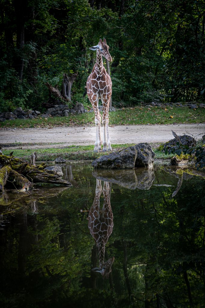 Frisur noch in Ordnung