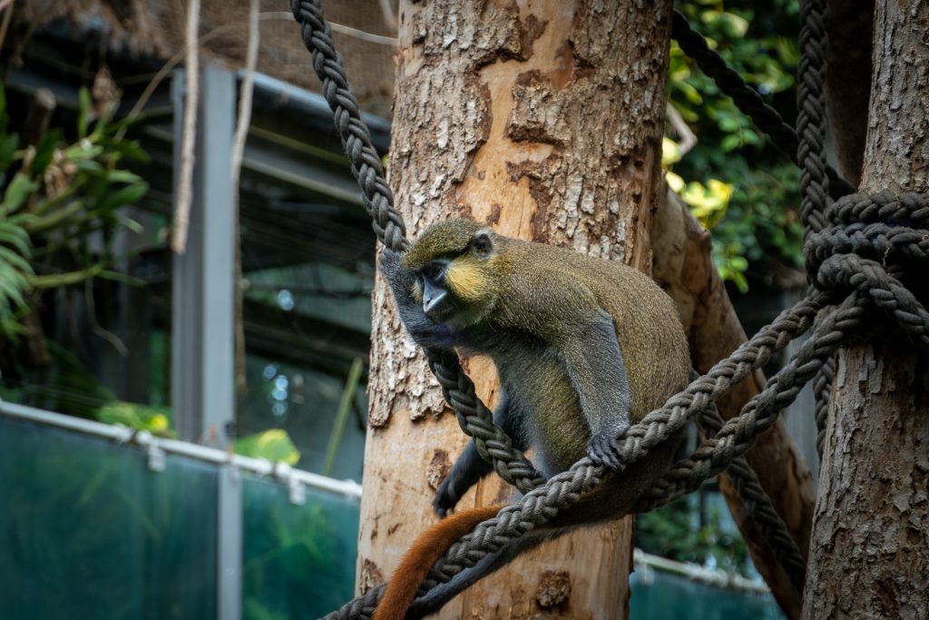 Bereit für nächsten Sprung
