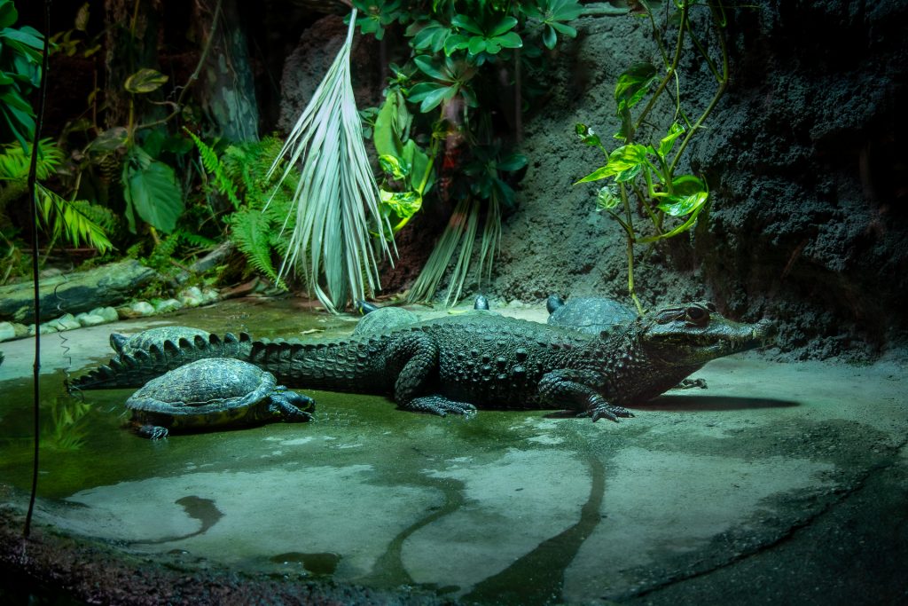 Gemeinsam schaffen wir es